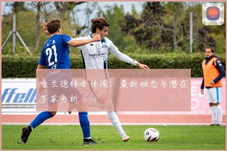 哈兰德转会传闻:最新动态与潜在下家分析