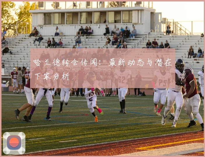 哈兰德转会传闻:最新动态与潜在下家分析